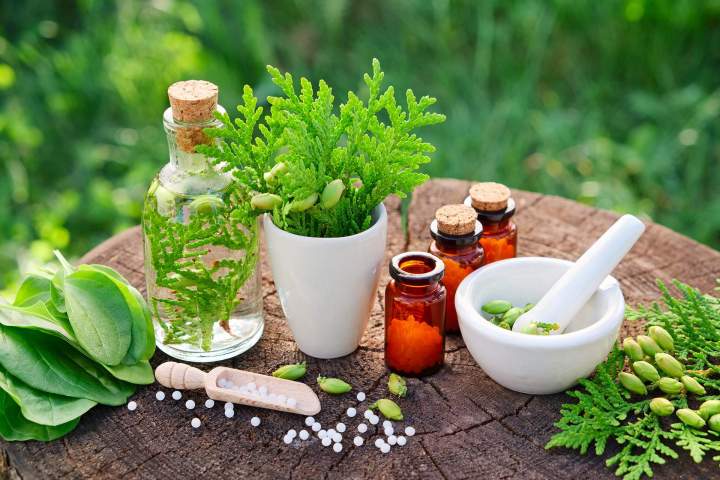 Naturopathe Saint-Hubert